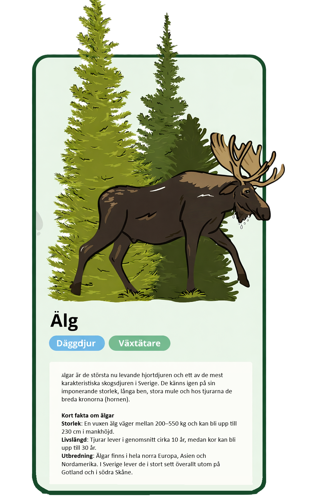 Natur På Spåret App